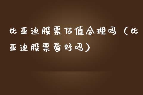 比亚迪股票估值合理吗（比亚迪股票看好吗）_https://www.lansai.wang_股票知识_第1张