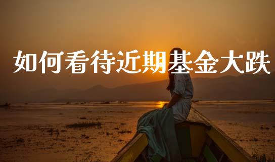 如何看待近期基金大跌_https://www.lansai.wang_未分类_第1张