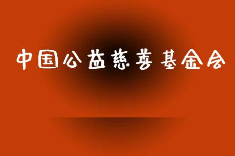 中国公益慈善基金会_https://www.lansai.wang_未分类_第1张
