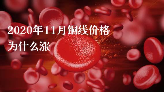 2020年11月铜线价格为什么涨_https://www.lansai.wang_期货直播_第1张