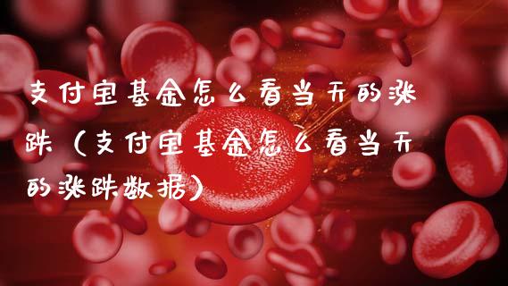 支付宝基金怎么看当天的涨跌（支付宝基金怎么看当天的涨跌数据）_https://www.lansai.wang_基金理财_第1张