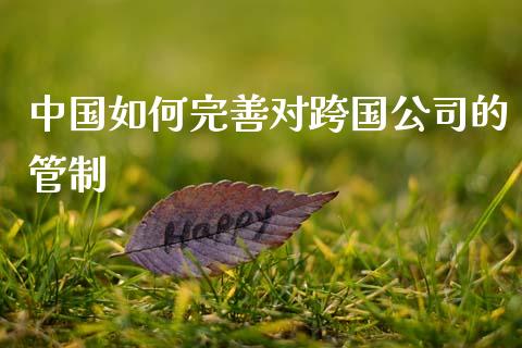 中国如何完善对跨国公司的管制_https://www.lansai.wang_期货资讯_第1张