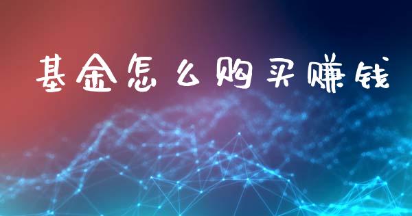 基金怎么购买赚钱_https://www.lansai.wang_基金理财_第1张