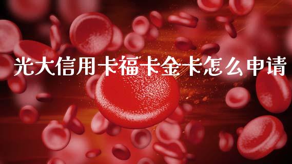 光大信用卡福卡金卡怎么申请_https://www.lansai.wang_期货资讯_第1张