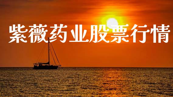 紫薇药业股票行情_https://www.lansai.wang_股票知识_第1张