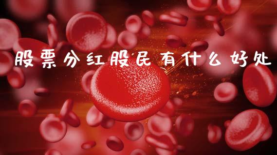 股票分红股民有什么好处_https://www.lansai.wang_期货资讯_第1张