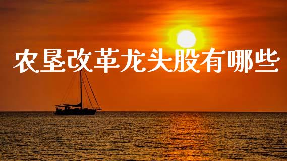 农垦改革龙头股有哪些_https://www.lansai.wang_股票问答_第1张