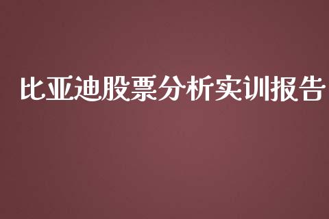 比亚迪股票分析实训报告_https://www.lansai.wang_股票问答_第1张