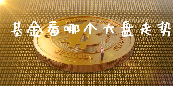 基金看哪个大盘走势_https://www.lansai.wang_基金理财_第1张