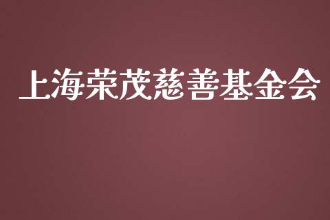 上海荣茂慈善基金会_https://www.lansai.wang_基金理财_第1张