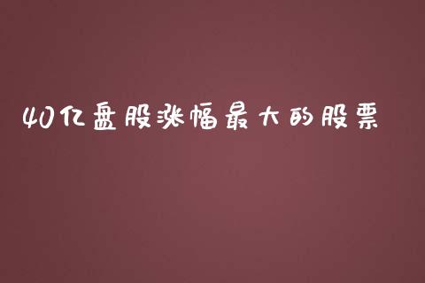 40亿盘股涨幅最大的股票_https://www.lansai.wang_期货资讯_第1张