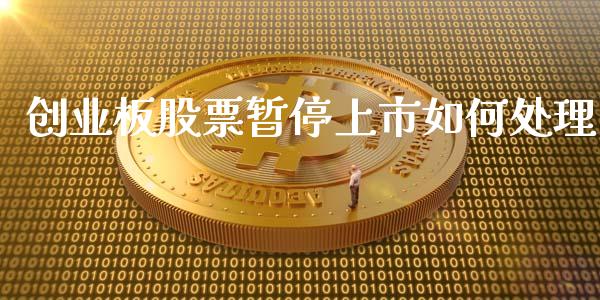 创业板股票暂停上市如何处理_https://www.lansai.wang_期货行情_第1张