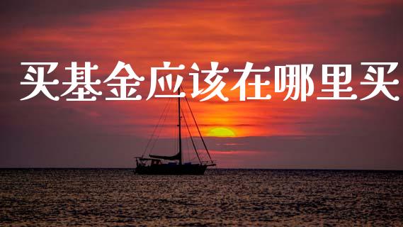 买基金应该在哪里买_https://www.lansai.wang_未分类_第1张