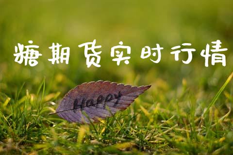 糖期货实时行情_https://www.lansai.wang_期货行情_第1张