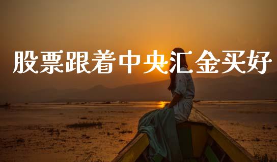 股票跟着中央汇金买好_https://www.lansai.wang_期货行情_第1张