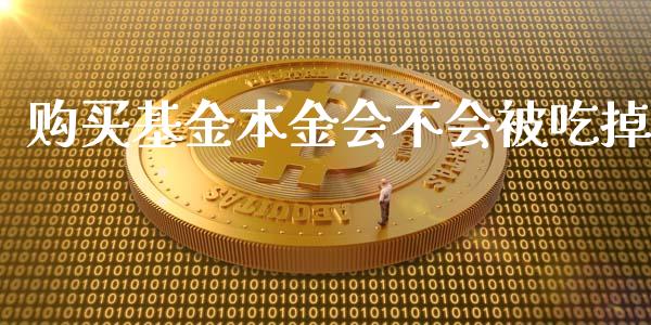 购买基金本金会不会被吃掉_https://www.lansai.wang_基金理财_第1张