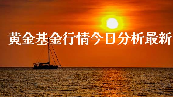 黄金基金行情今日分析最新_https://www.lansai.wang_基金理财_第1张