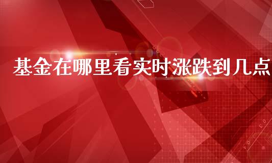 基金在哪里看实时涨跌到几点_https://www.lansai.wang_基金理财_第1张