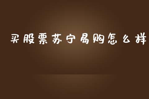 买股票苏宁易购怎么样_https://www.lansai.wang_期货行情_第1张