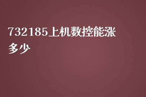 732185上机数控能涨多少_https://www.lansai.wang_股指期货_第1张