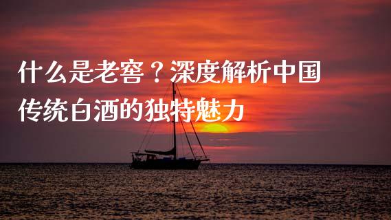 什么是老窖？深度解析中国传统白酒的独特魅力_https://www.lansai.wang_理财百科_第1张