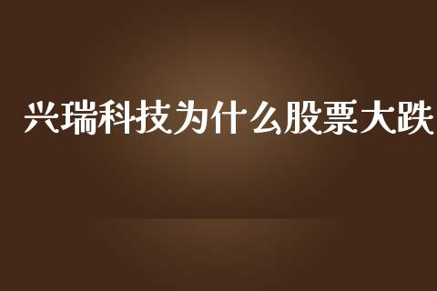 兴瑞科技为什么股票大跌_https://www.lansai.wang_期货行情_第1张