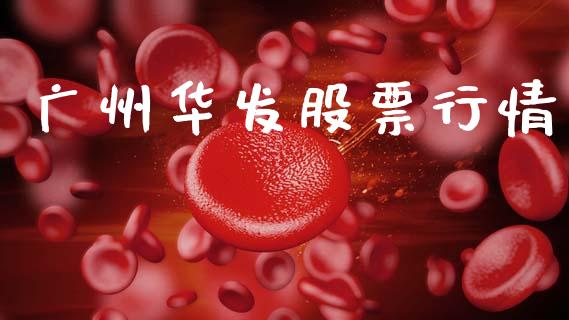 广州华发股票行情_https://www.lansai.wang_股票知识_第1张