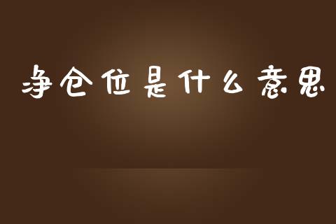净仓位是什么意思_https://www.lansai.wang_理财百科_第1张