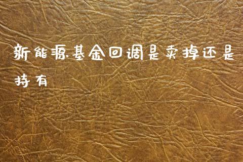 新能源基金回调是卖掉还是持有_https://www.lansai.wang_理财百科_第1张