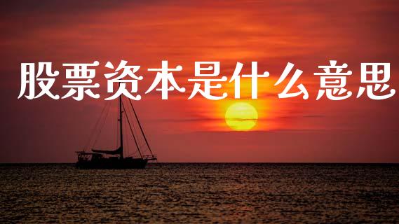 股票资本是什么意思_https://www.lansai.wang_基金理财_第1张
