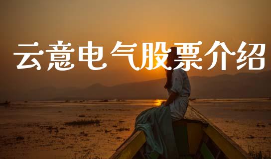 云意电气股票介绍_https://www.lansai.wang_期货行情_第1张