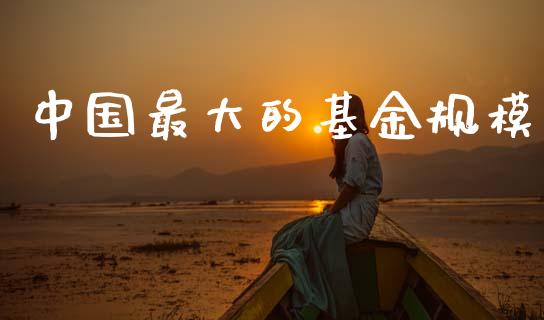 中国最大的基金规模_https://www.lansai.wang_基金理财_第1张
