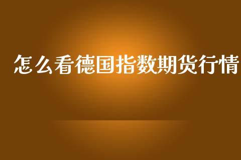 怎么看德国指数期货行情_https://www.lansai.wang_恒生指数_第1张