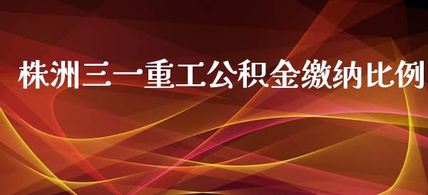 株洲三一重工公积金缴纳比例_https://www.lansai.wang_股票知识_第1张