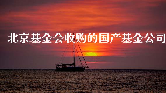 北京基金会收购的国产基金公司_https://www.lansai.wang_基金理财_第1张