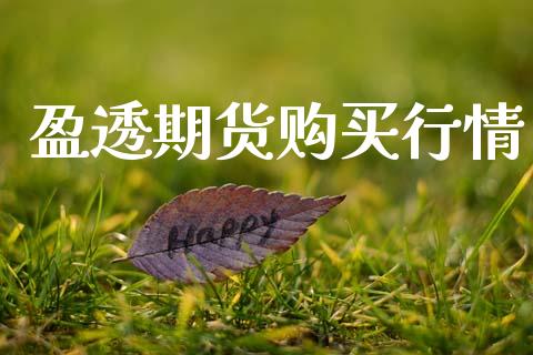 盈透期货购买行情_https://www.lansai.wang_期货行情_第1张
