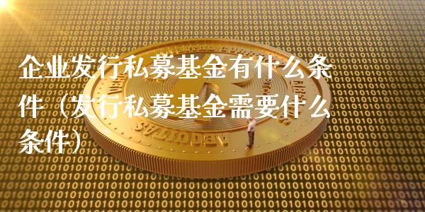 企业发行私募基金有什么条件（发行私募基金需要什么条件）_https://www.lansai.wang_基金理财_第1张