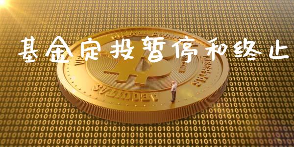 基金定投暂停和终止_https://www.lansai.wang_理财百科_第1张