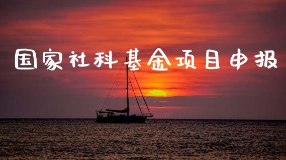 国家社科基金项目申报_https://www.lansai.wang_基金理财_第1张