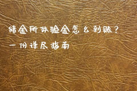 储金所体验金怎么到账？ 一份详尽指南_https://www.lansai.wang_基金理财_第1张