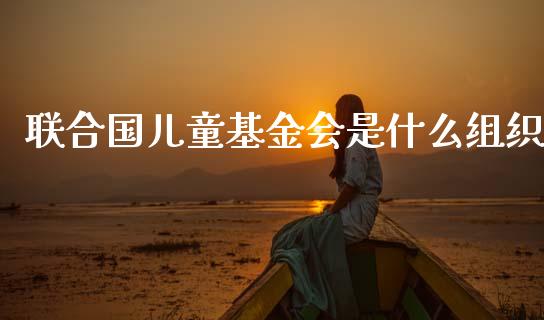 联合国儿童基金会是什么组织_https://www.lansai.wang_基金理财_第1张