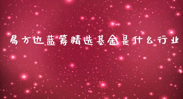 易方达蓝筹精选基金是什么行业_https://www.lansai.wang_基金理财_第1张