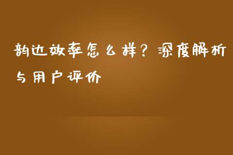 韵达效率怎么样？深度解析与用户评价_https://www.lansai.wang_期货学院_第1张