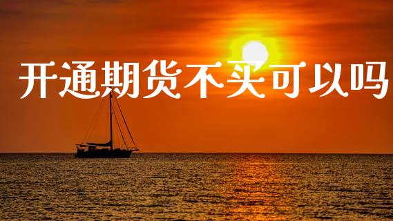 开通期货不买可以吗_https://www.lansai.wang_期货资讯_第1张