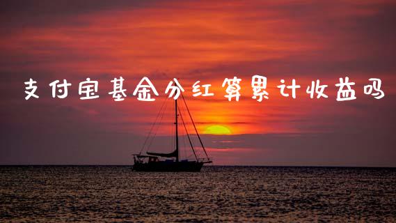 支付宝基金分红算累计收益吗_https://www.lansai.wang_基金理财_第1张