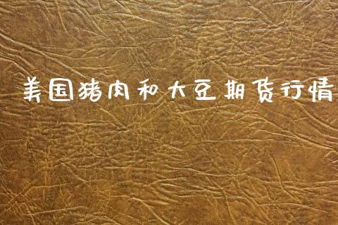美国猪肉和大豆期货行情_https://www.lansai.wang_恒生指数_第1张