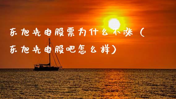 东旭光电股票为什么不涨（东旭光电股吧怎么样）_https://www.lansai.wang_股票知识_第1张