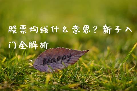 股票均线什么意思？新手入门全解析_https://www.lansai.wang_期货学院_第1张