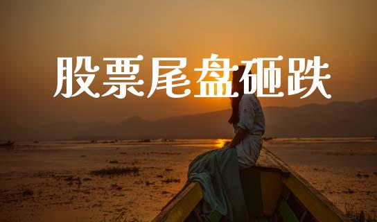股票尾盘砸跌_https://www.lansai.wang_期货行情_第1张