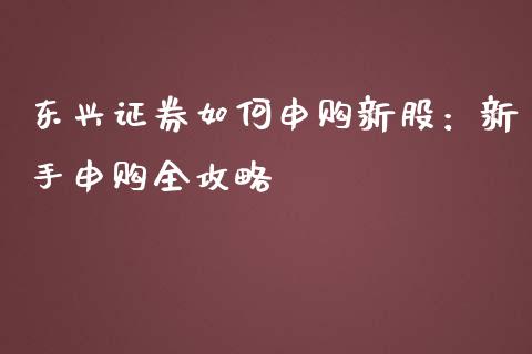东兴证券如何申购新股：新手申购全攻略_https://www.lansai.wang_理财百科_第1张